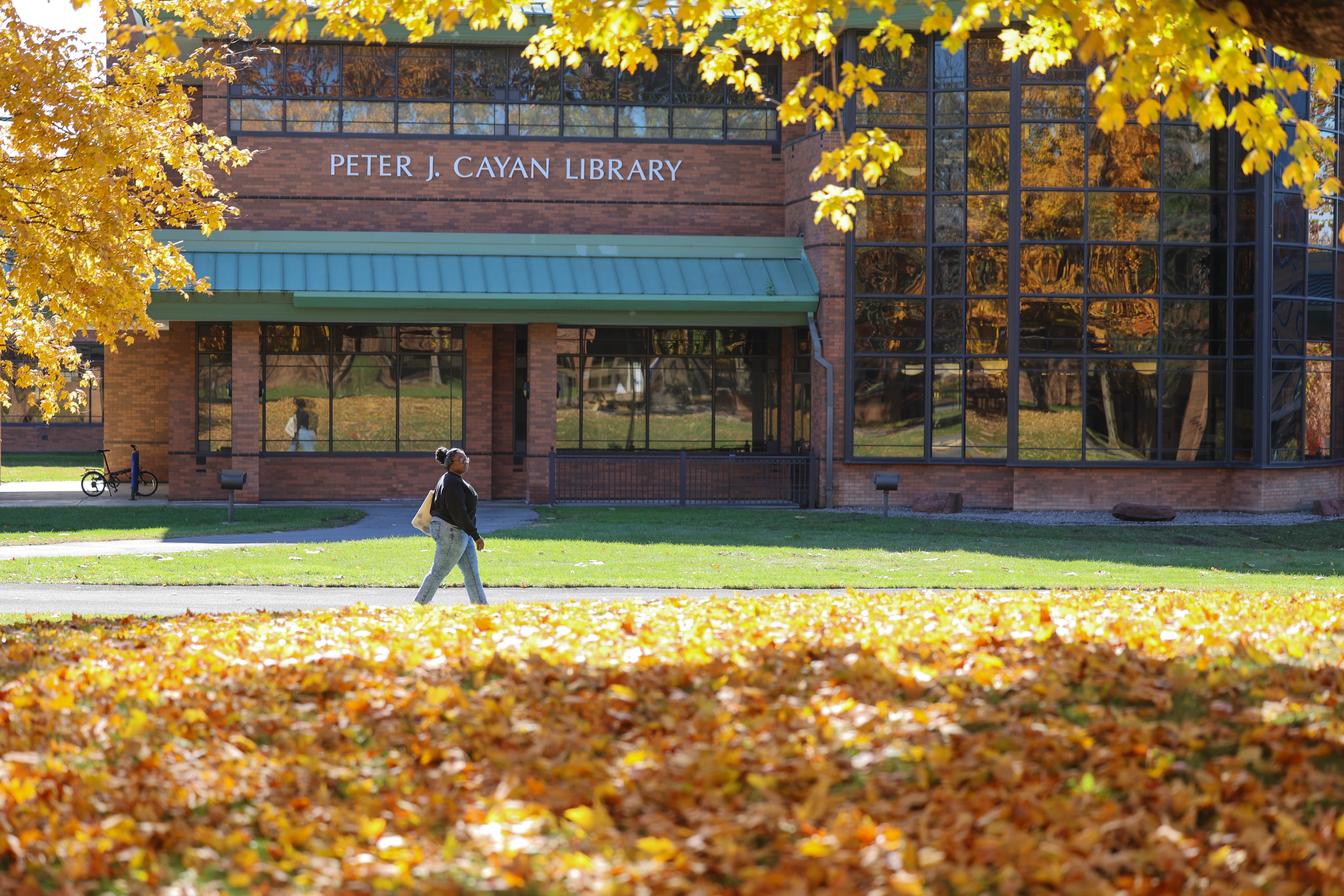 A SUNY Poly student walking by Cayan Library, with a large yellow-leaved tree in the foreground.