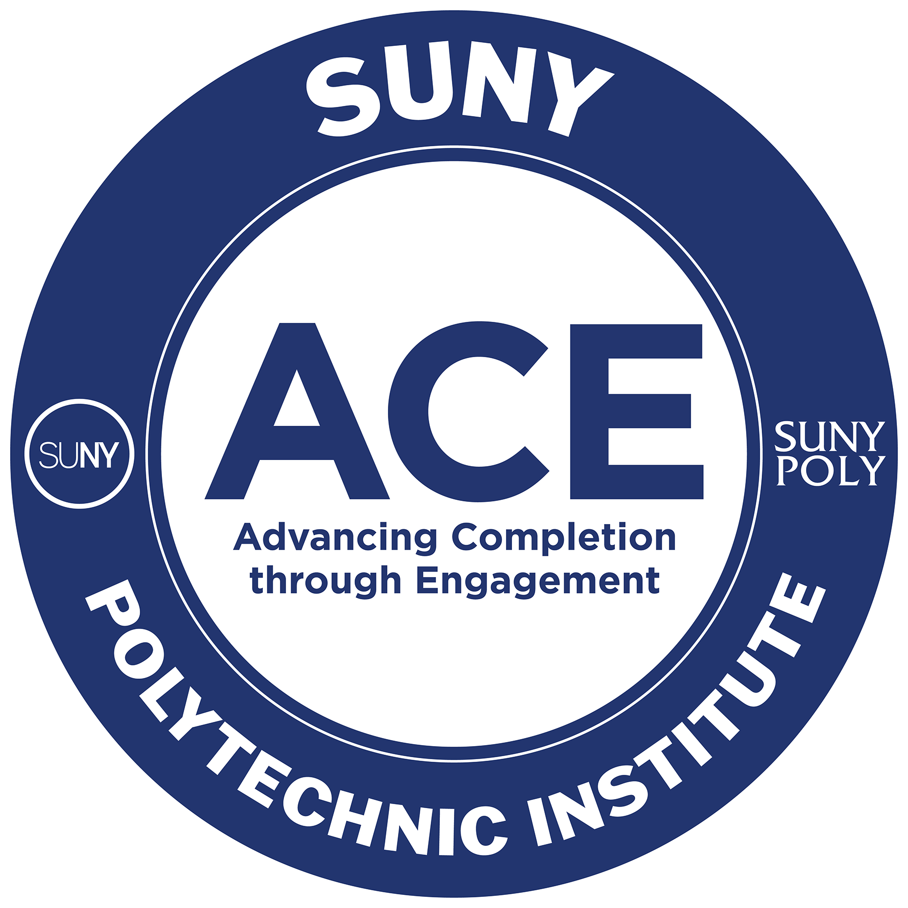 ACE Program